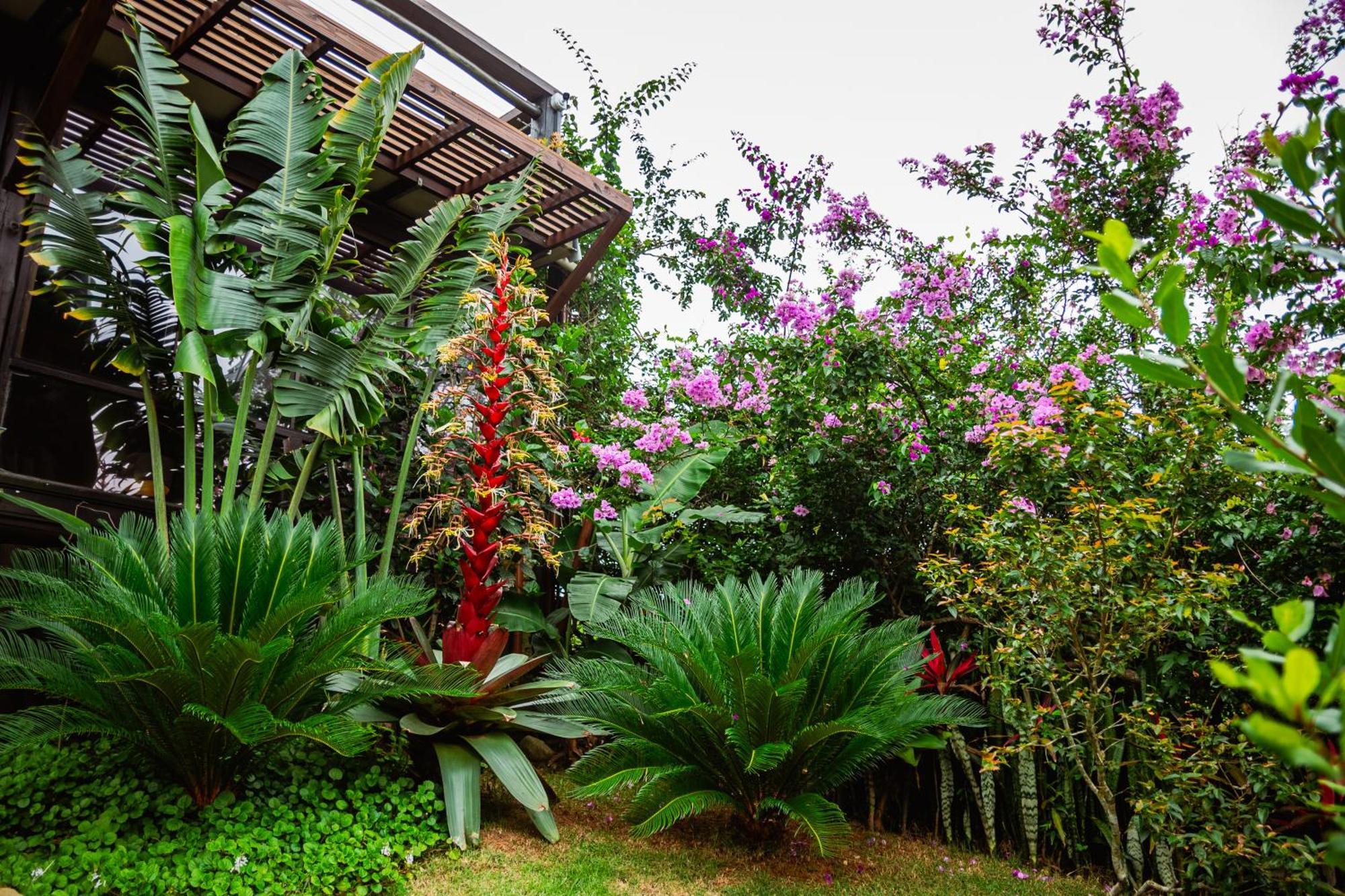 Ibiraquera Life Villa Praia do Rosa Eksteriør bilde